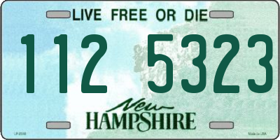 NH license plate 1125323