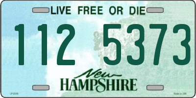 NH license plate 1125373