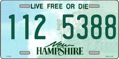 NH license plate 1125388
