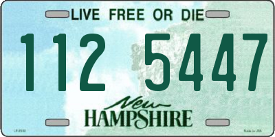 NH license plate 1125447