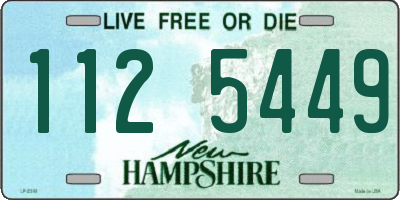 NH license plate 1125449