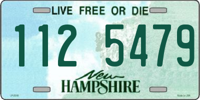 NH license plate 1125479