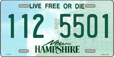 NH license plate 1125501