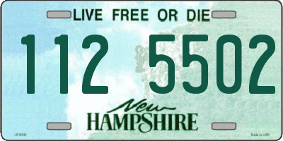 NH license plate 1125502