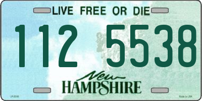 NH license plate 1125538