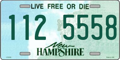 NH license plate 1125558