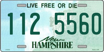 NH license plate 1125560