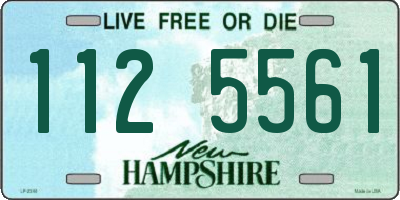 NH license plate 1125561