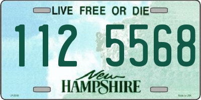 NH license plate 1125568