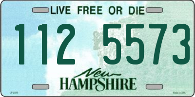 NH license plate 1125573