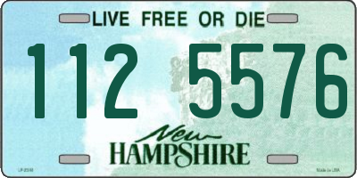 NH license plate 1125576