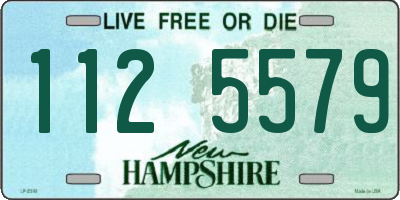 NH license plate 1125579