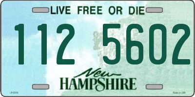 NH license plate 1125602