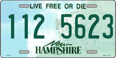 NH license plate 1125623