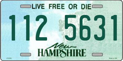 NH license plate 1125631