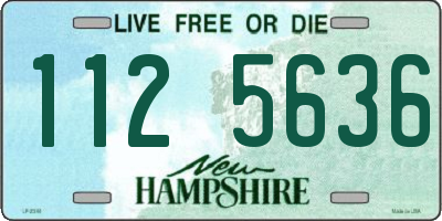 NH license plate 1125636