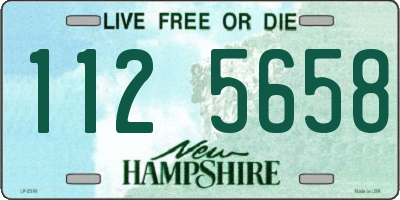 NH license plate 1125658