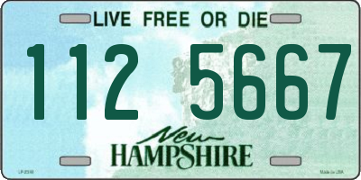 NH license plate 1125667