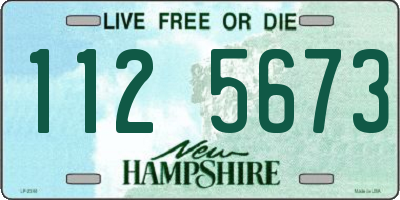 NH license plate 1125673