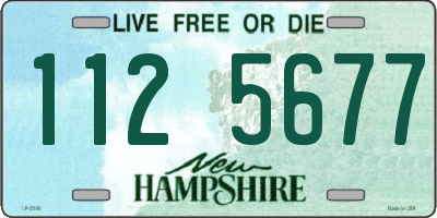 NH license plate 1125677