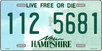 NH license plate 1125681