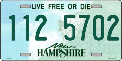 NH license plate 1125702