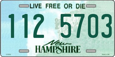 NH license plate 1125703