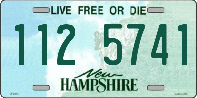 NH license plate 1125741