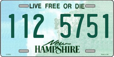NH license plate 1125751