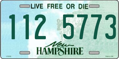NH license plate 1125773