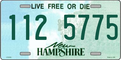 NH license plate 1125775