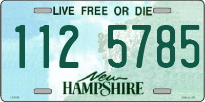 NH license plate 1125785