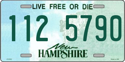 NH license plate 1125790