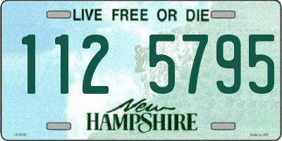 NH license plate 1125795
