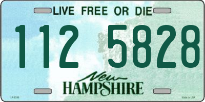 NH license plate 1125828