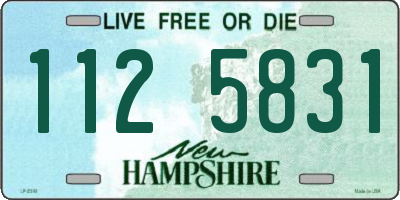 NH license plate 1125831