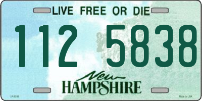 NH license plate 1125838