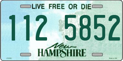 NH license plate 1125852
