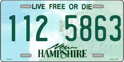 NH license plate 1125863