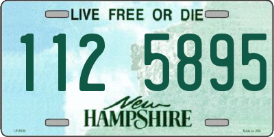 NH license plate 1125895