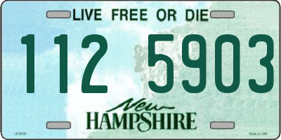 NH license plate 1125903