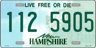 NH license plate 1125905