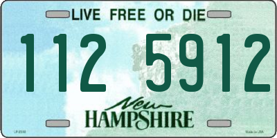 NH license plate 1125912
