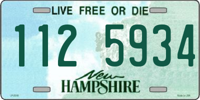 NH license plate 1125934
