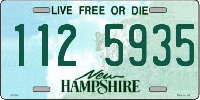 NH license plate 1125935