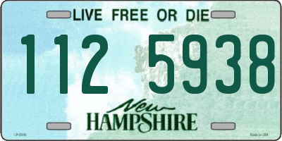 NH license plate 1125938