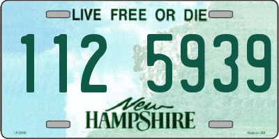 NH license plate 1125939
