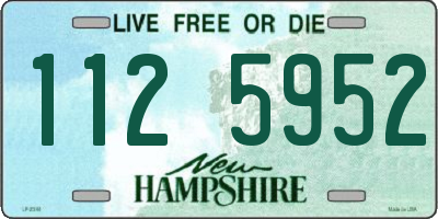 NH license plate 1125952
