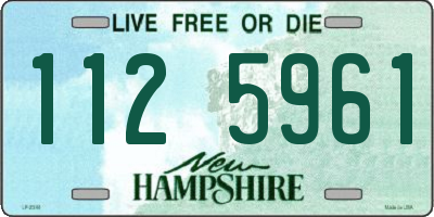 NH license plate 1125961