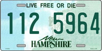 NH license plate 1125964